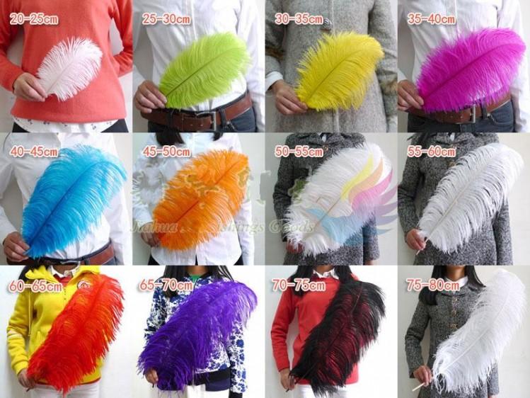 Изображение товара: Wholesale 100pcs/lot Black White Ostrich Feather Plume Craft Supplies Wedding Party Table Centerpieces Decoration Free Shipping