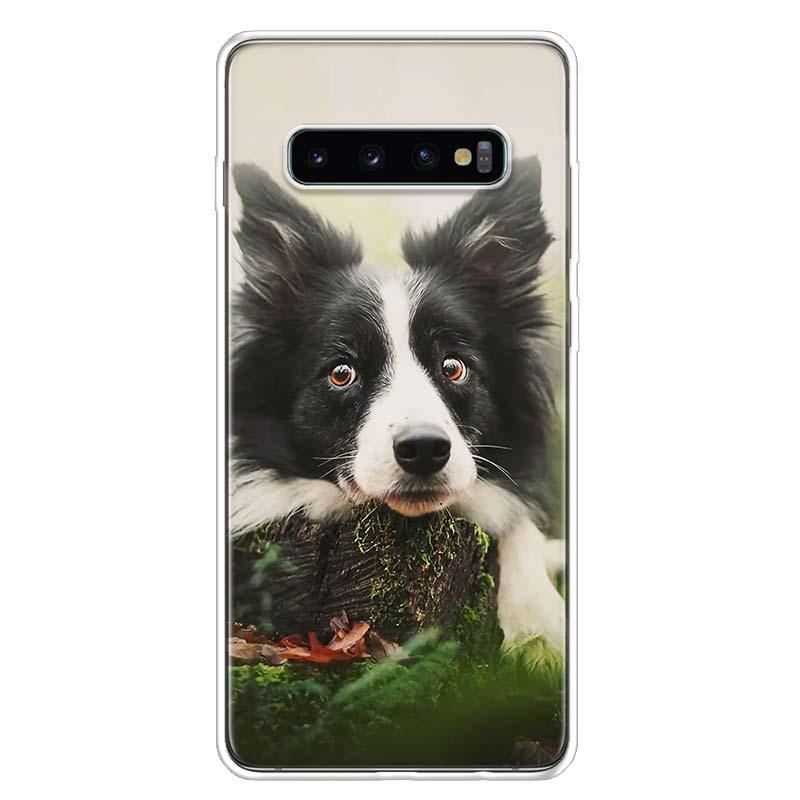 Изображение товара: Крутой чехол Bernese Mountain Dog Для Samsung S22 Plus Galaxy S20 FE S10 Lite S9 S8 S7 Edge S21 Ultra J8 J6 J4 S6, чехол