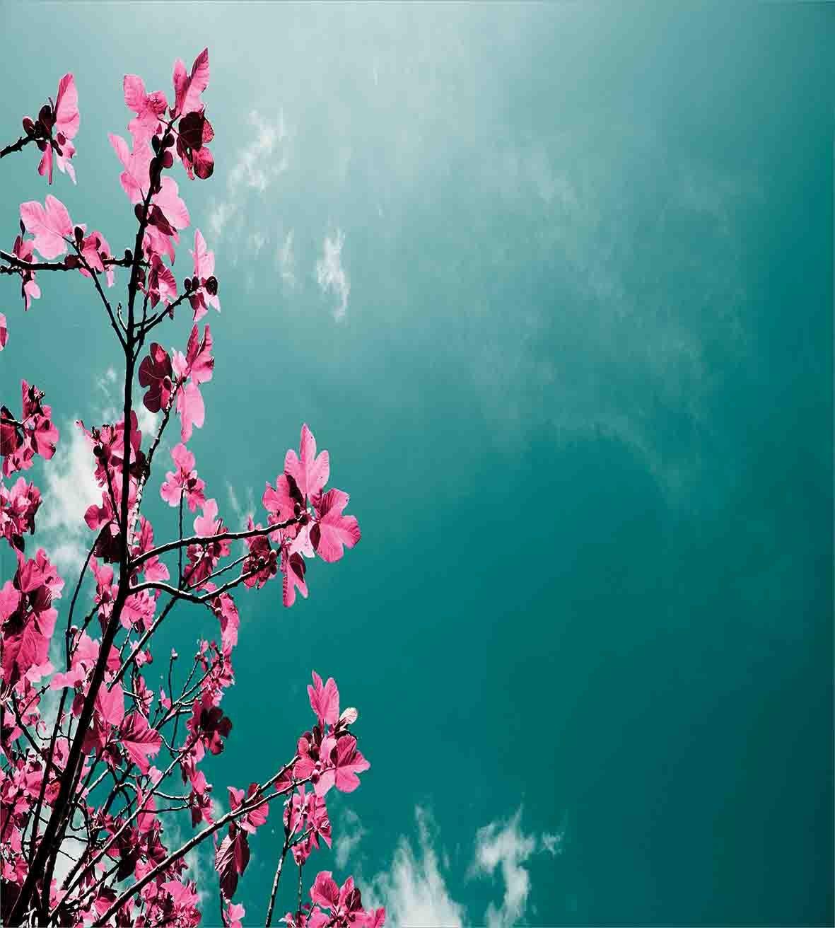 Изображение товара: Цветочный пододеяльник набор смоковница цветочки с солнечным небо экзотические на лето и весну растения живописный вид природа декоративные 3 предмета постельные принадлежности