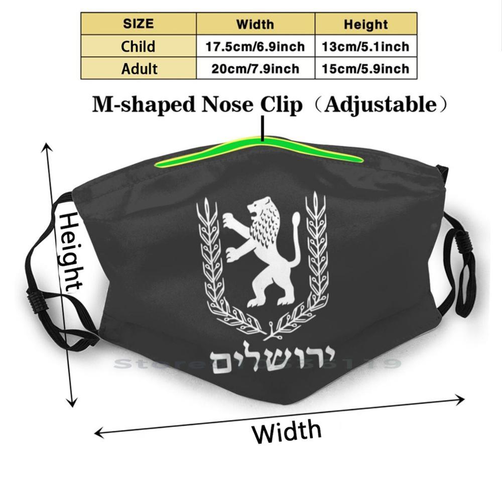 Изображение товара: Многоразовая маска для лица со львом иудейским флагом, флагом Израиля, Иерусалимом, ивритом и фильтрами для детей