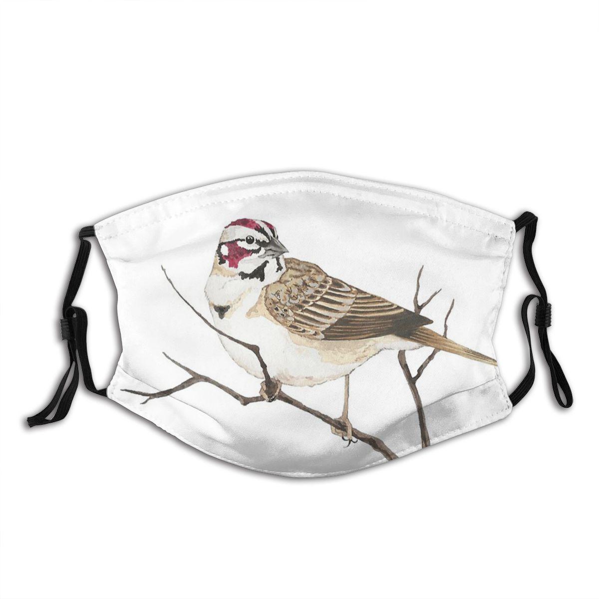 Изображение товара: Многоразовая Пыленепроницаемая маска для лица Lark Sparrow с принтом птиц, Пыленепроницаемая маска с фильтрами, защитный респиратор с ушной петлей