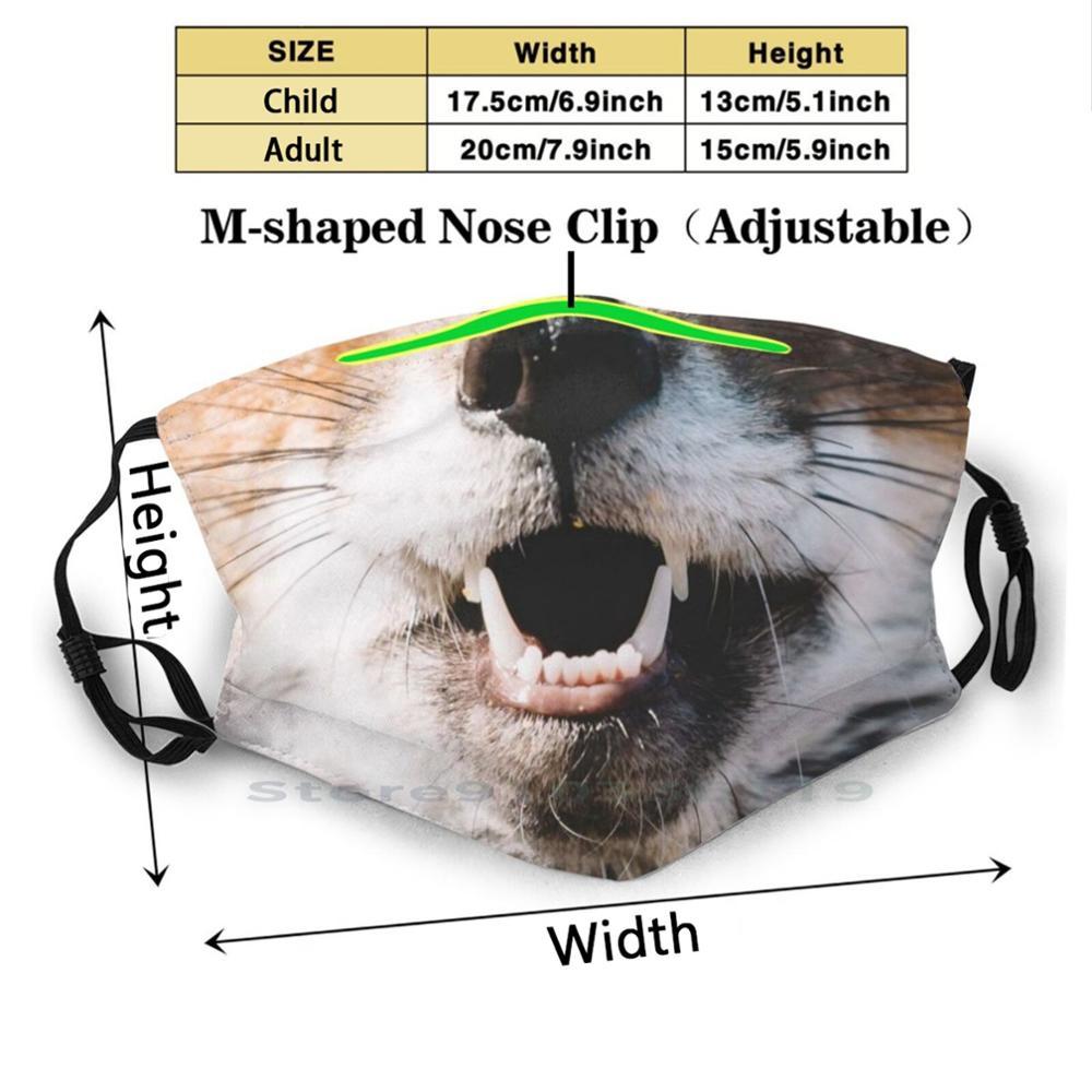 Изображение товара: Лисичка лиса рот многоразовая маска для лица с фильтрами детская Лисичка лиса Фокси животное собака волк зубы клыки улыбка природа дикая
