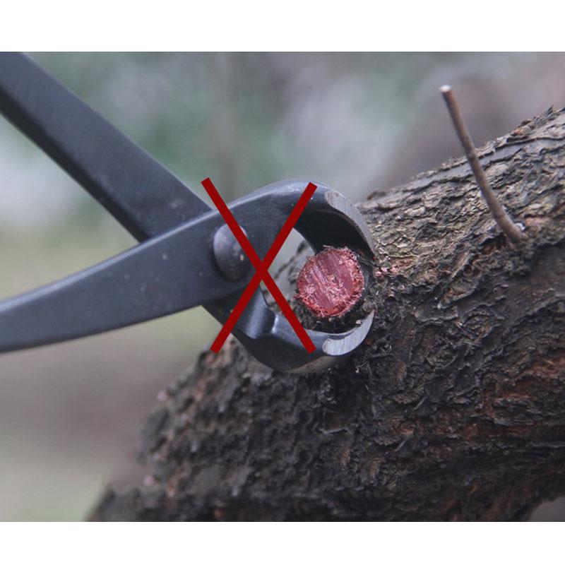Изображение товара: 210 мм 270 мм профессиональный класс лезвия стебли ветви резаки садовые инструменты бонсай чистящие ножницы