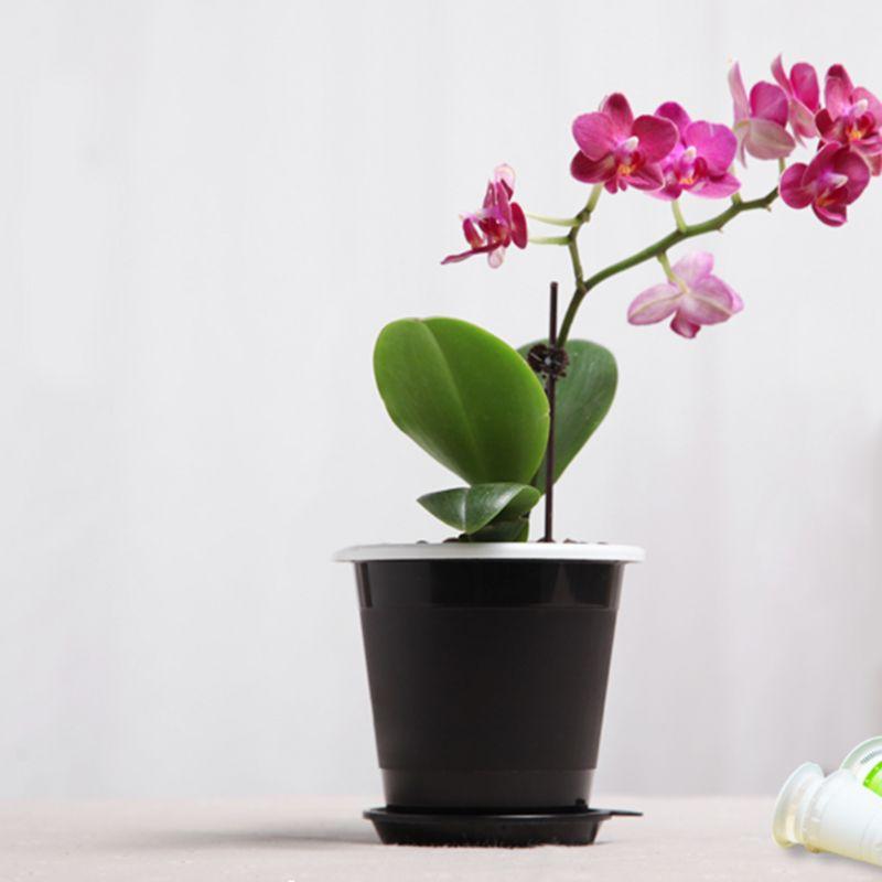 Изображение товара: Сетчатый горшок, Орхидея, гидропонная корзина для цветов, контейнер для растений, Декор для дома и сада