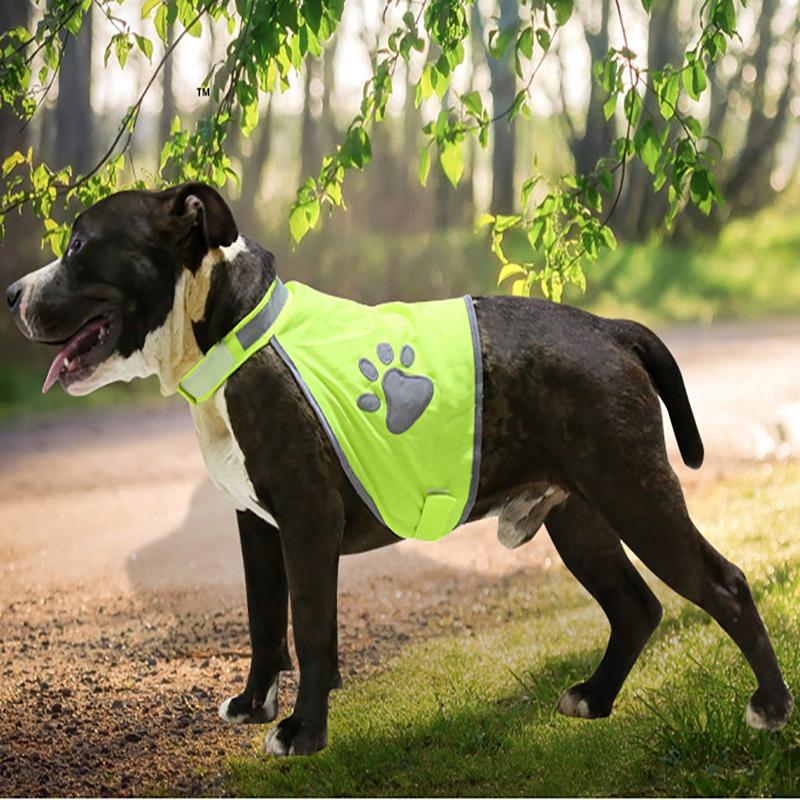 Изображение товара: Светоотражающая собачья жилетка, одежда, высокая видимость, маленькие большие собаки, защитные жилеты, упряжь для прогулок на открытом воздухе