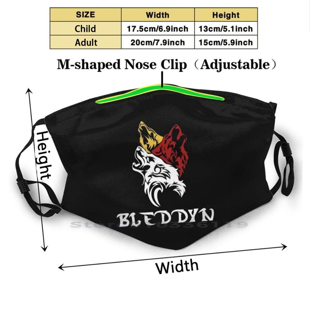 Изображение товара: Многоразовая маска Bleddyn House с логотипом, фильтрующая маска для лица Pm2.5, детская маска Bleddynlogo Bleddyn Logo Saberleague Saber League светильник
