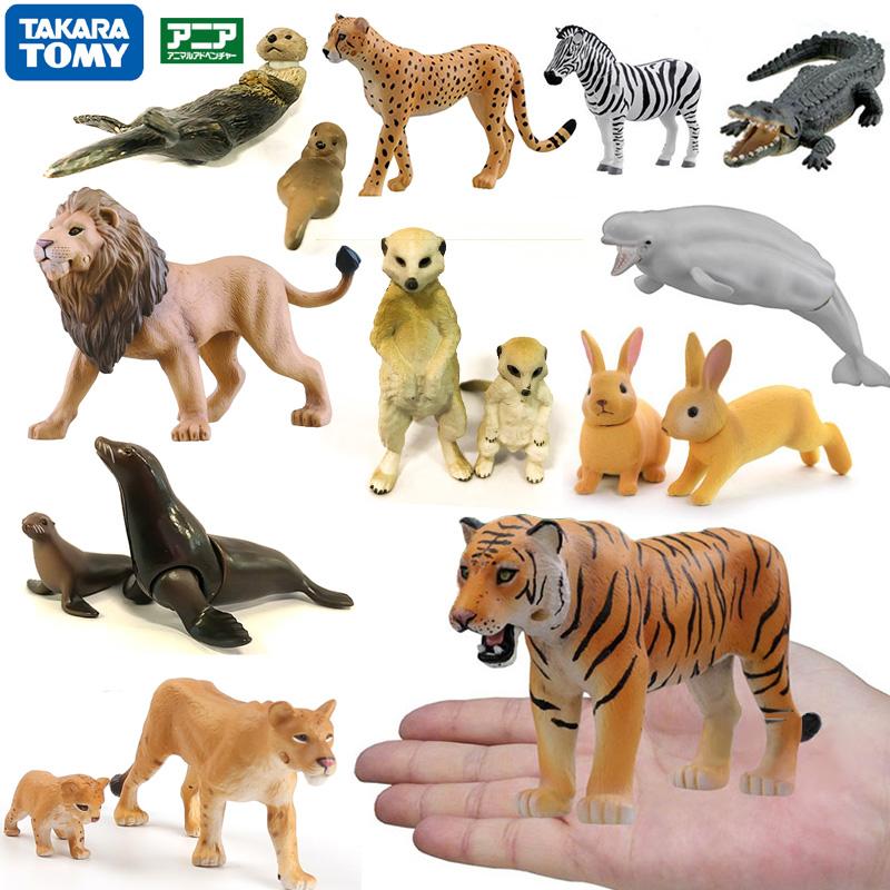 Изображение товара: Дикие животные, модель мира, игрушки, морской лев, лес, король, тигр, фигурка, обезьяна, кролик, Зебра, кукла, детские подарки
